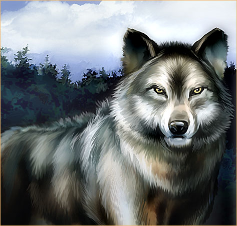 Лесной волк. Галерея изображений онлайн игры Троецарствие